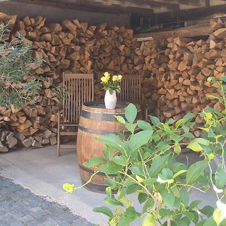 Gaestehaus Ringhof Florsheim-Dalsheim Buitenkant foto