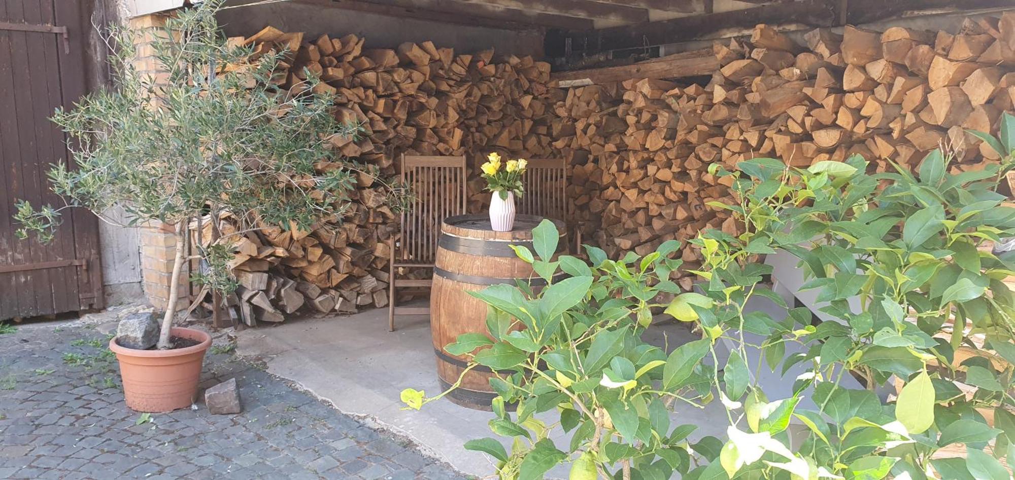 Gaestehaus Ringhof Florsheim-Dalsheim Buitenkant foto